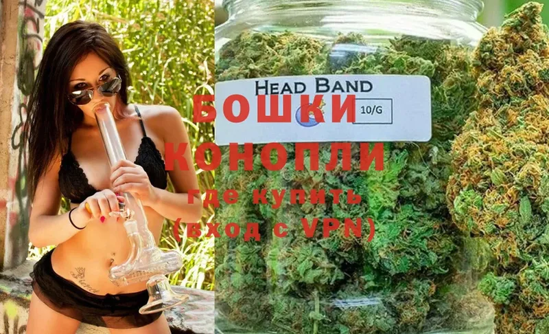 Бошки Шишки SATIVA & INDICA  Полярный 